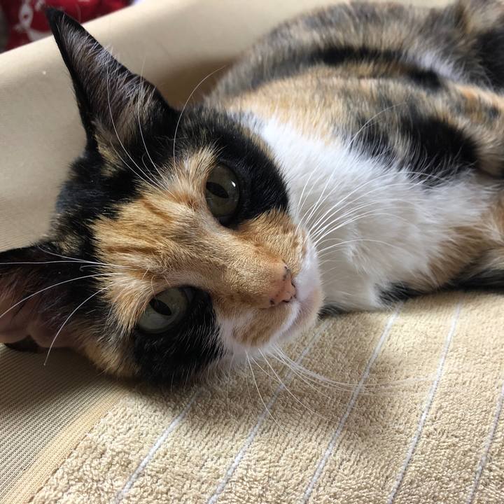 26baabb3 d9d4 4ef5 9b8b 66f287279341 1609808808280