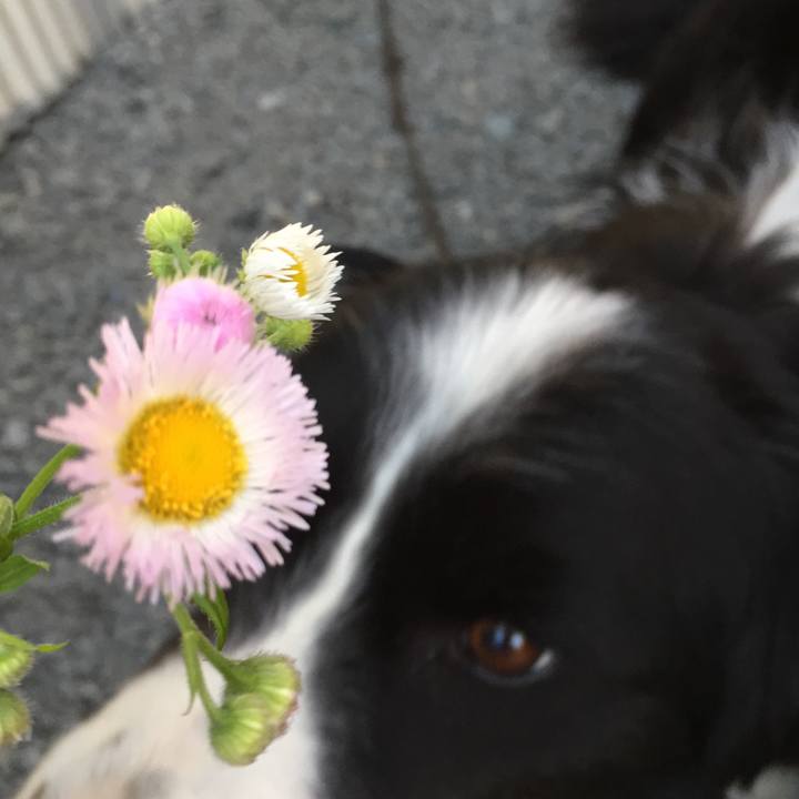 26bae44a a327 4c79 b77e 964909ee30c4 1557227882214