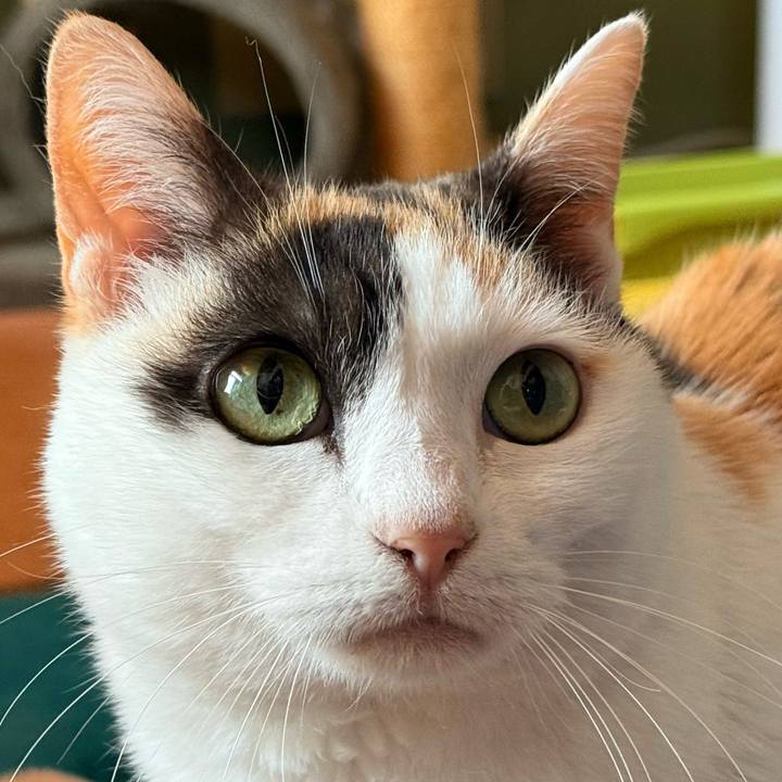 26bb00c9 e726 460f 9b79 7bb40d82c205 1745286366176