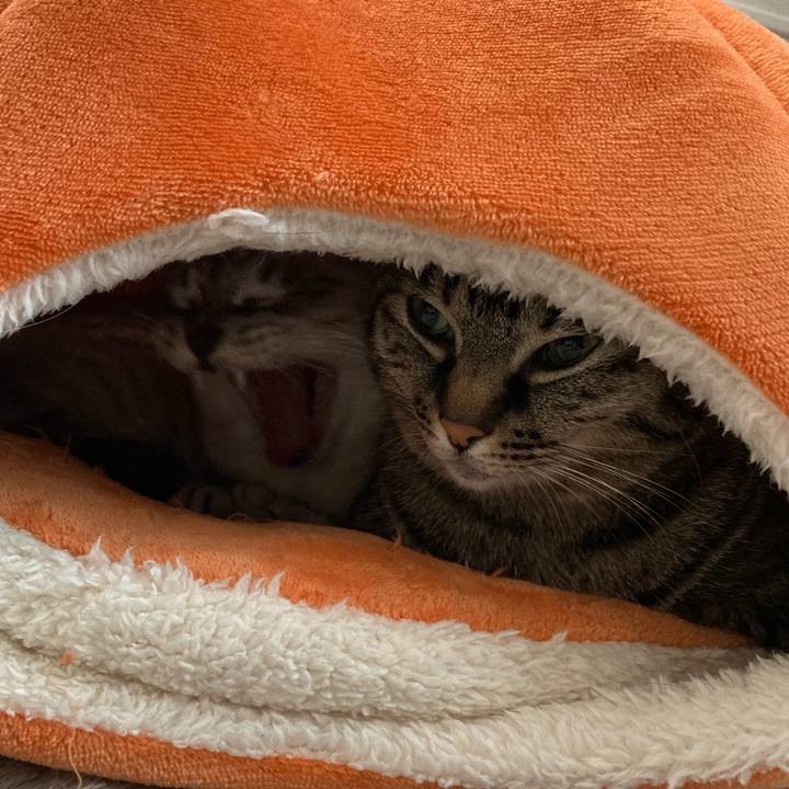 26bb14d5 f07d 4fc7 8469 14fe4ac41401 1638596977411