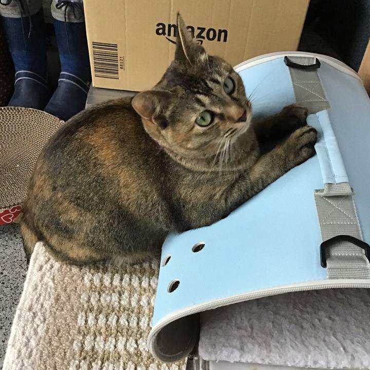 26bb2a9a 9f14 40c4 a59f d959a48f5962 1595486467399