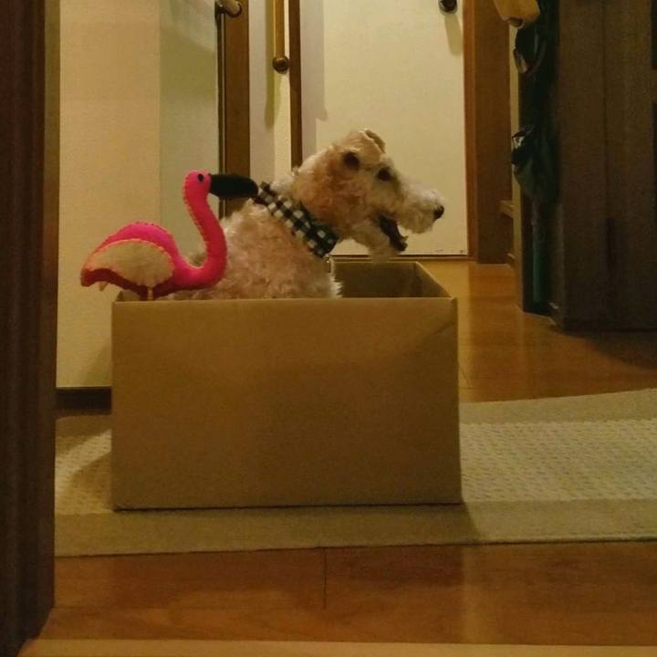 26bb3a32 b4bd 4f9c 865c 3bf7f2636750 1539788248068