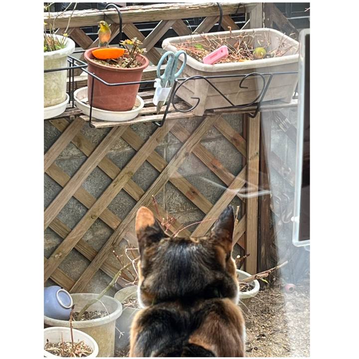 26bb4554 de8d 447d bad4 6b13521c5864 1706242370230