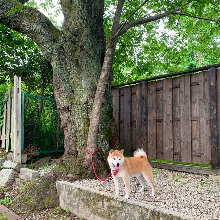 26bb4927 05c8 4a64 8ac7 5a66e5c3ac69 1655715124152