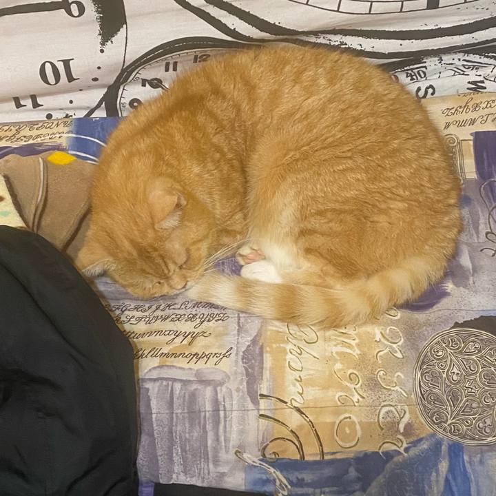 26bb5596 45fb 461c 92c1 ab758501f6ab 1667595751476