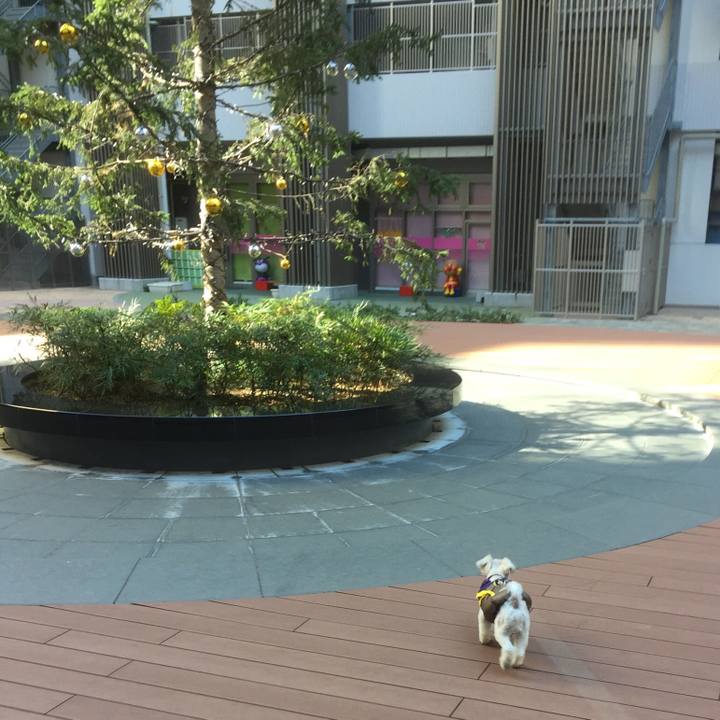 26bb6a6e 55a2 4e5e a7e4 3c33fd5102ea 1513501708454