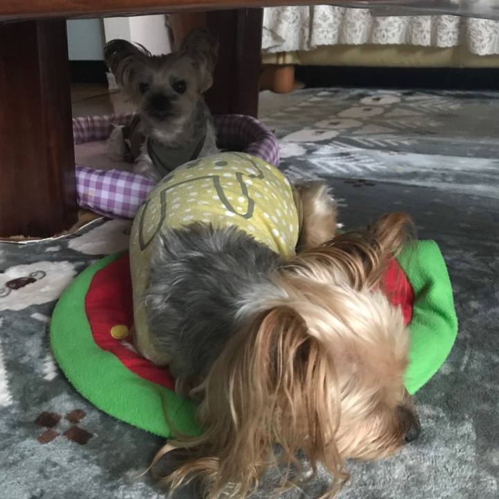 26bb90d9 2204 4ac4 b336 4ef744770118 1570170809811