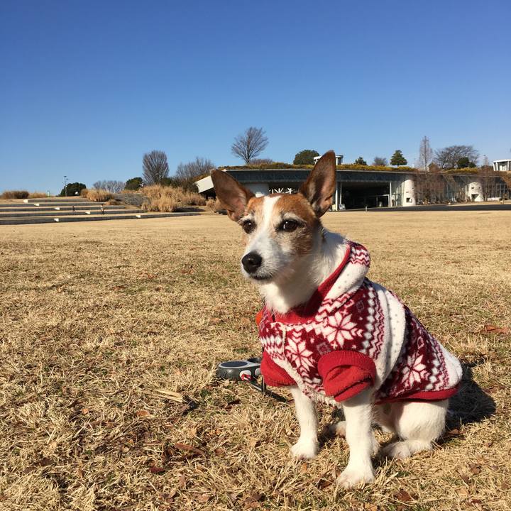 26bbe0ce e876 4e09 b19e e380931fca56 1579396639176