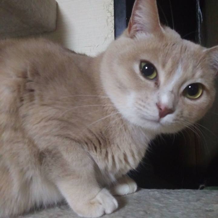 26bbfafb 631a 4b9d 8a42 0be0b9af5590 1520954812217