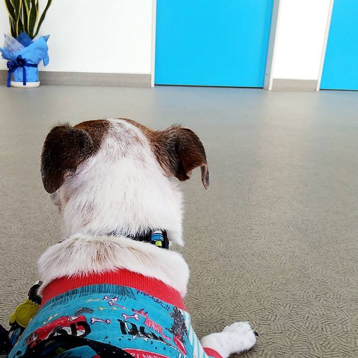 26bc0d75 46aa 4036 8721 068483925a2a 1533959653318