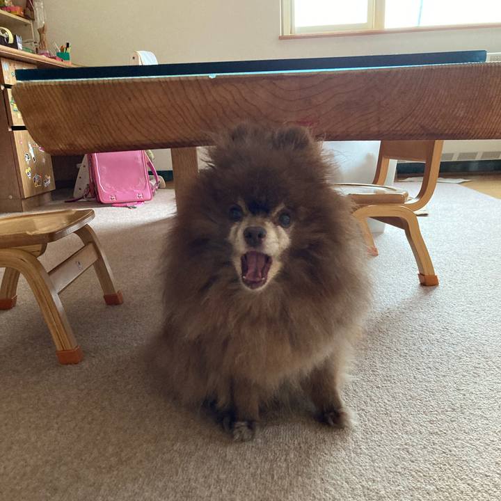 26bc10f0 0f6b 4359 a03d b295b4d5c428 1724880100551