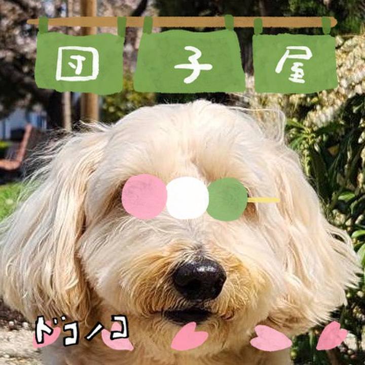 26bc1f77 8b80 446a 8efd 329789a64c7c 1712215650429