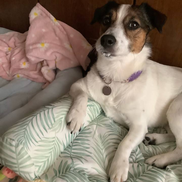 26bc2a17 c250 40a9 b4b1 50faa81fe1b9 1591167189889