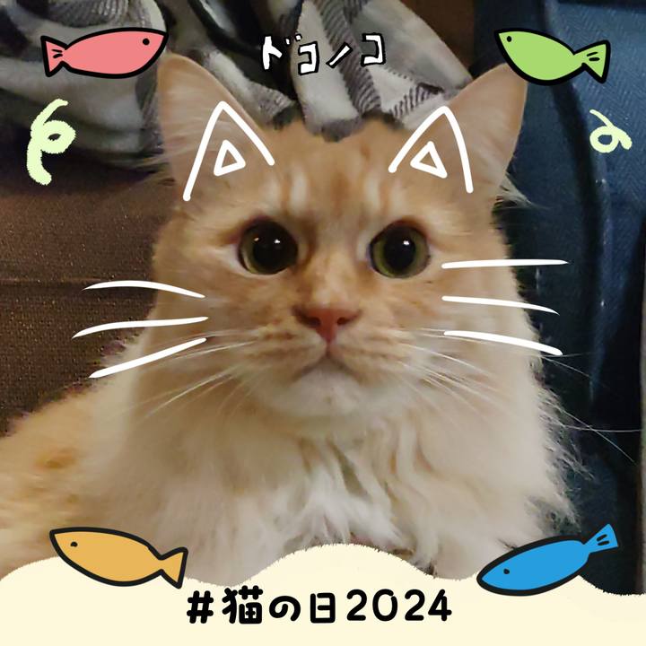 26bc701a 172b 449b 8bdd 0a562a9cc79a 1708552905581