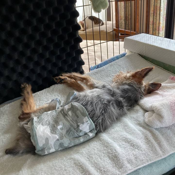 26bd9439 77ae 41bb a4d8 23a7256c82c5 1697956471059