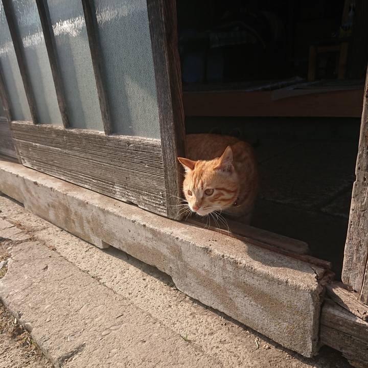 26bd9675 b17e 4c5b 9c96 6717d9a69732 1649229088586