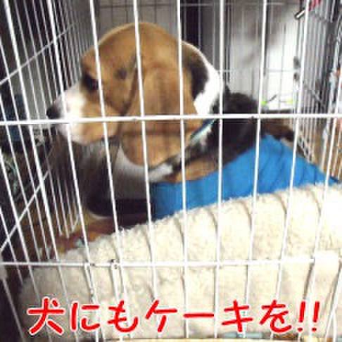 26bd98ab a7c1 4ac5 aa41 5040d68196a3 1703289279637