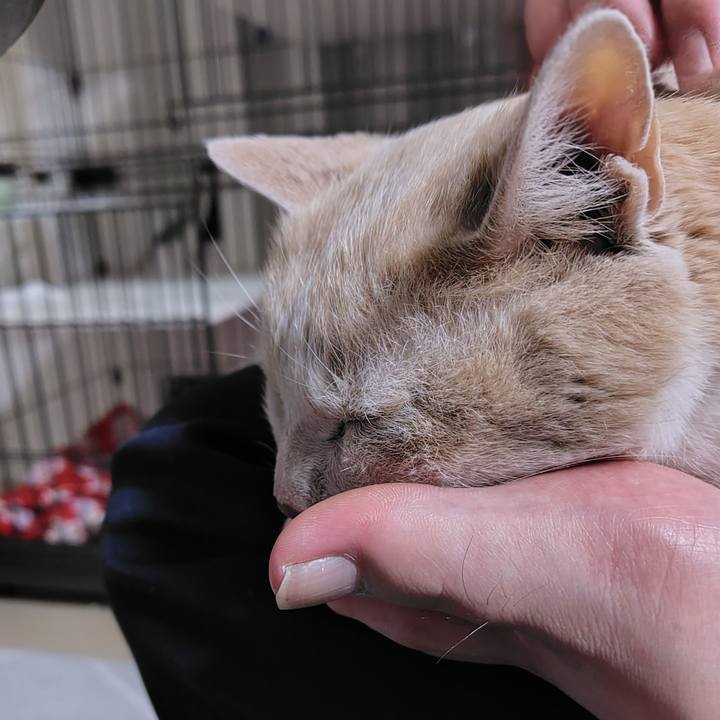 26bda2f3 cc56 4b28 9056 78c872a757c1 1715175075725