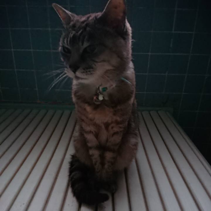 26bdaed2 9218 48cc ae34 dfd9a3e1101b 1567714306852