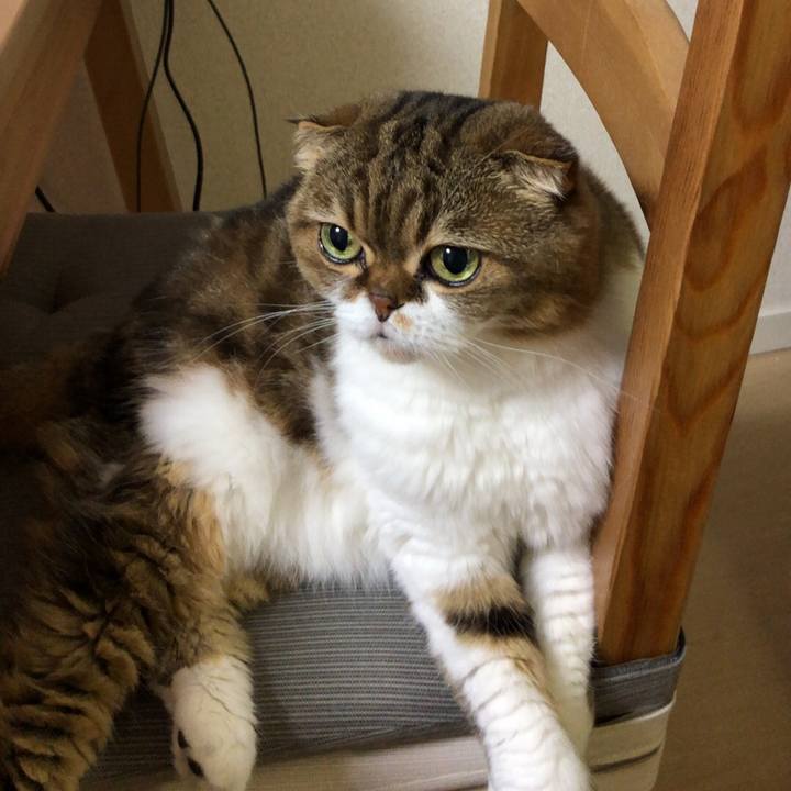 26bdcb0e 08e4 4158 ab93 18a03402c417 1538562404867