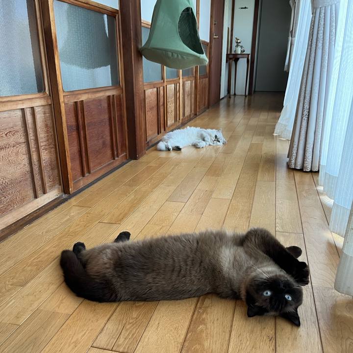 26bdf5a2 713c 4474 85a8 cbefe48a79d8 1722933945652