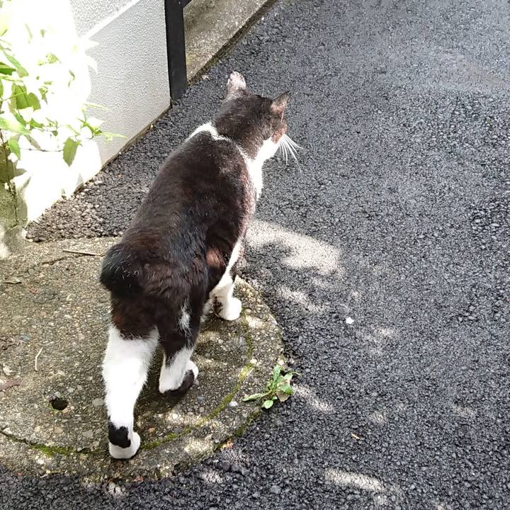 26be0385 31c6 43ee 8f6c cd596c9adab1 1693094562727