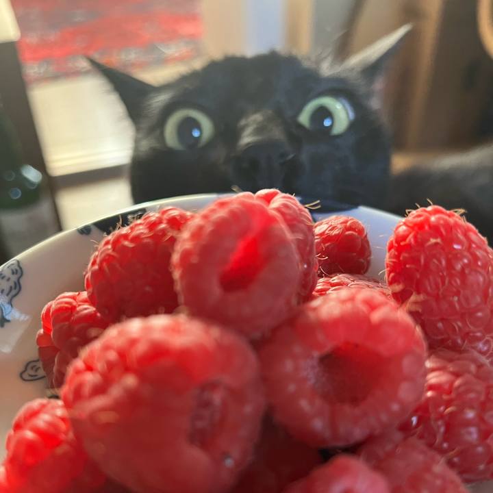 26be0ab1 f621 496b aa53 1d014b758bfb 1710289794621