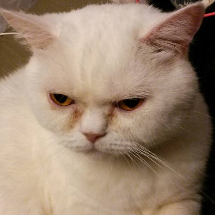 26be28bc 4163 4380 bb9c c9f35a2167bd 1561986451594