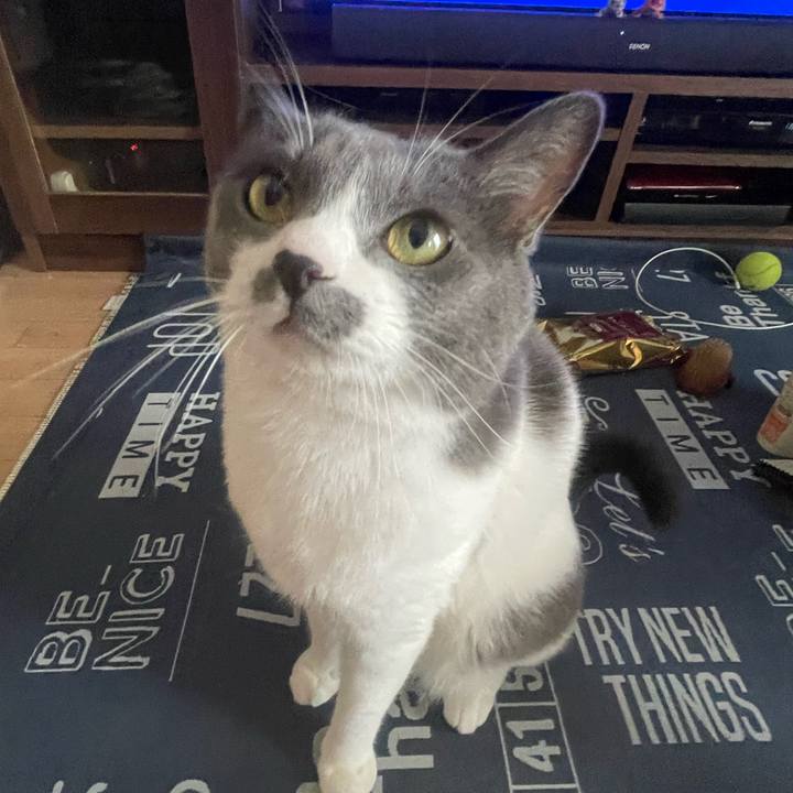 26bede87 fafb 46e8 9952 3cc7b4649675 1694316114074