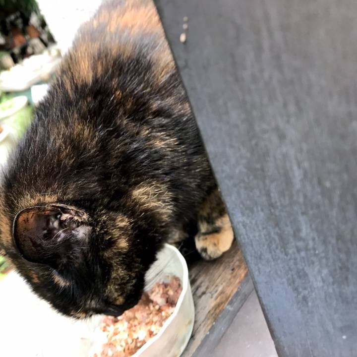 26bee403 fe7e 428c 90a8 0ceb892ca6b3 1560218860640