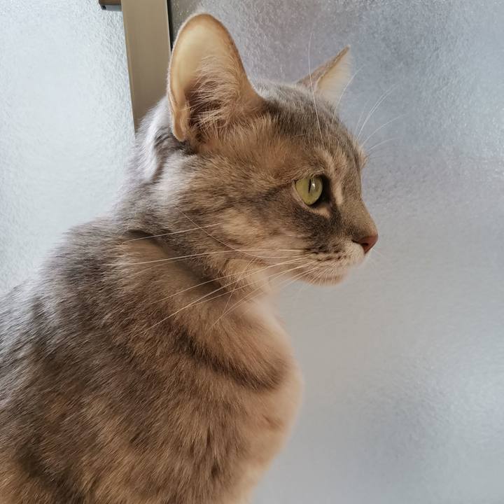 26bee438 9683 4f0d 8ec9 13e652353512 1612496716717