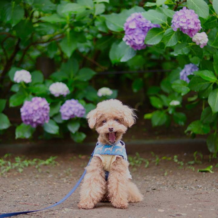 26bf0c89 92f9 46b8 8196 fdf5dd5fe464 1604845118576