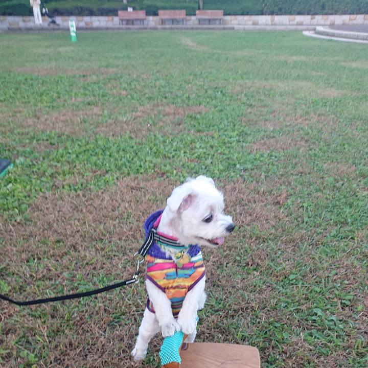 26bf2e09 0132 41e7 92c8 3f1d3902c8ca 1572264588152