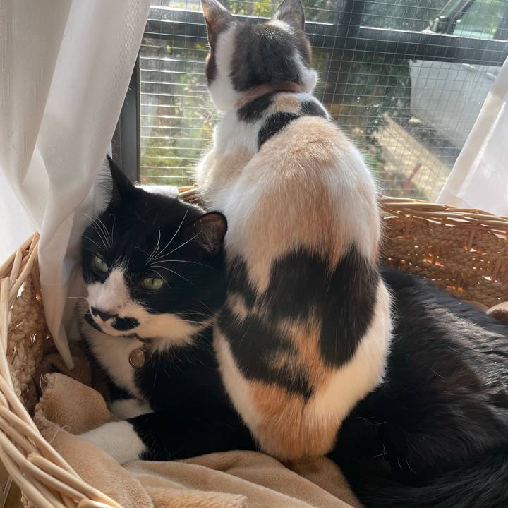 26bf52ef 17a0 44f5 99f0 6d14d13411c4 1735603068877