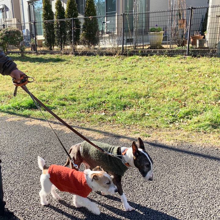 26bf79f2 cbad 4b07 a209 c846ca50aed4 1580553948947