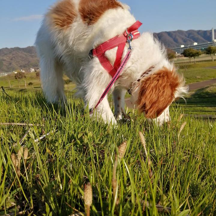 26bf7abf bb0c 4ac1 8833 a1ef9e768705 1584706901037