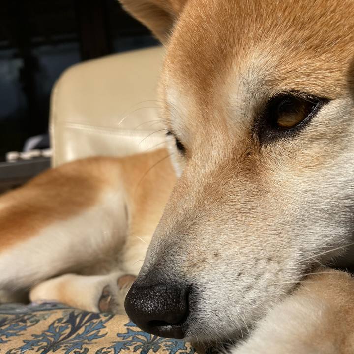 26bf85c9 8380 43b0 b424 7f4087513688 1676179426374