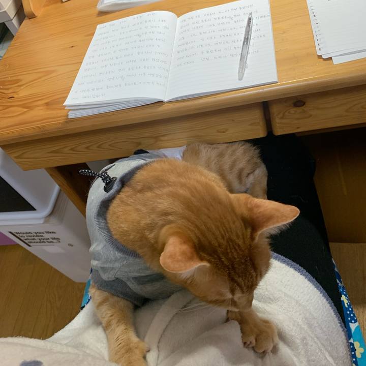 26bfc6c9 7b80 468b 9db9 fad393f39a89 1640641384575