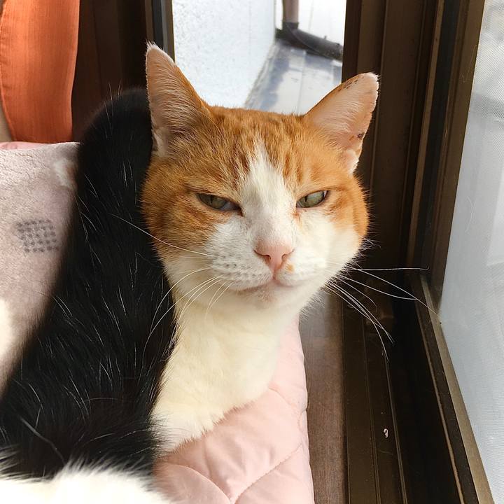 26bff012 333c 401c 9376 09b2c1d832e7 1615781814329