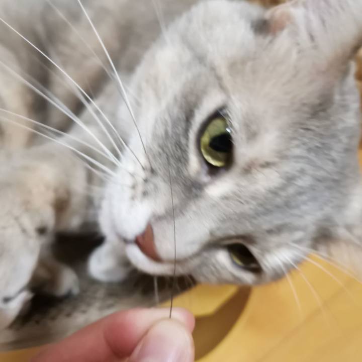 26bff0d5 f707 404a a553 b911954502f2 1608179535576