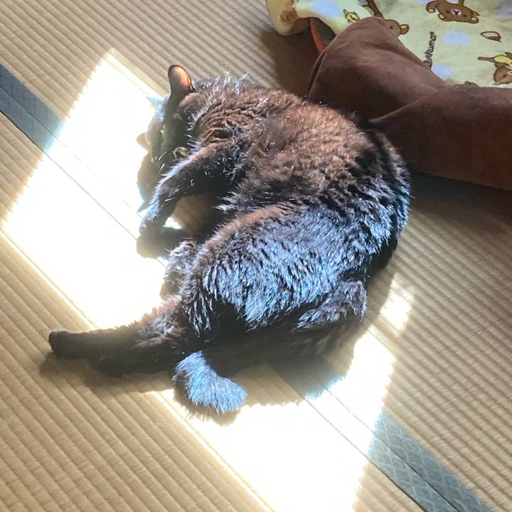 26c0012e 486c 46ef 9700 4a6c69e9e636 1634519897143