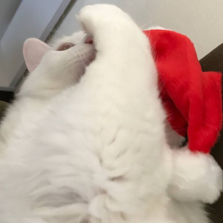 26c01b51 b1b0 4f51 92c5 d8443b163f62 1514092977052