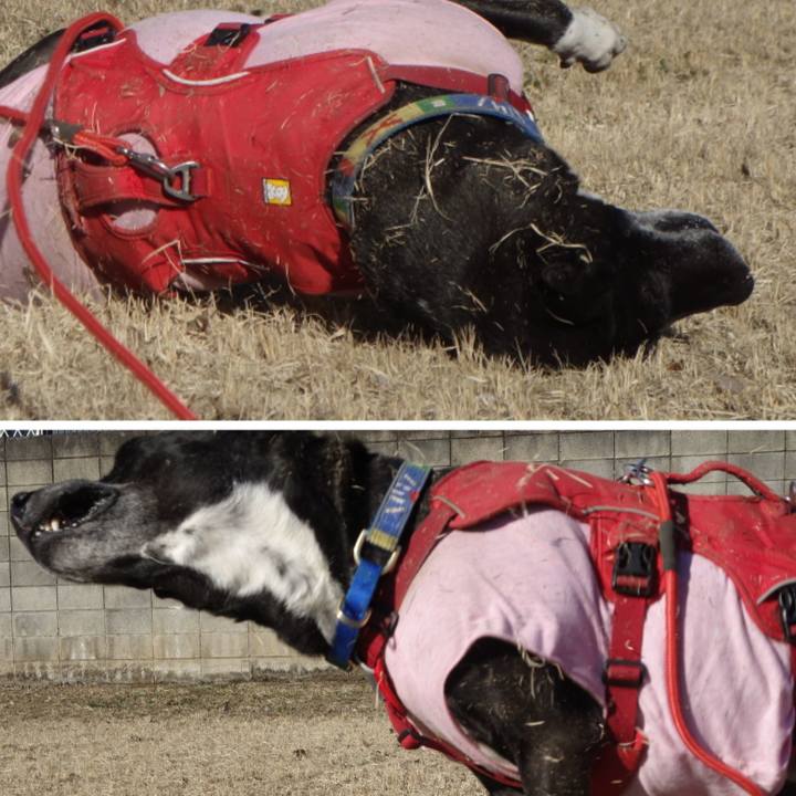 26c01bf7 f6cc 46b4 b273 5f09ed306dc0 1677375050616