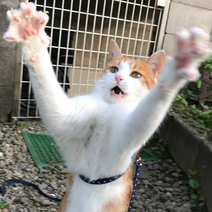 26c045b3 f66a 4827 9b77 c1a9af2ce7fd 1526893972805