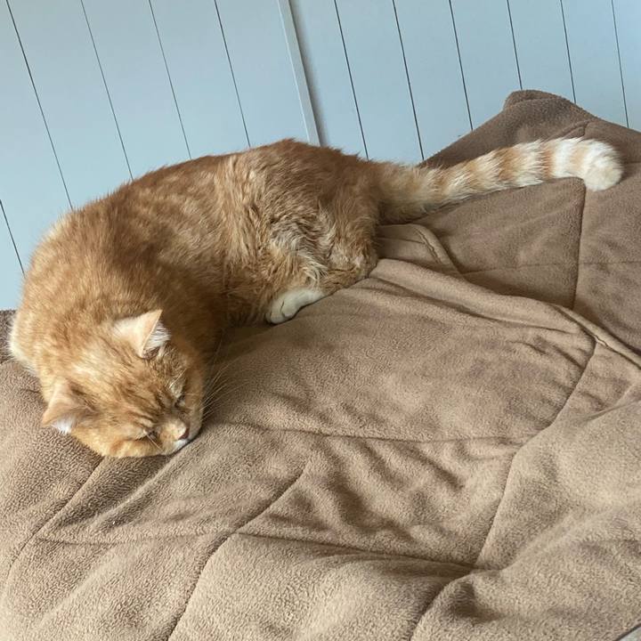 26c062ed 3557 4586 a437 7f0d6b5e6d22 1681619568758