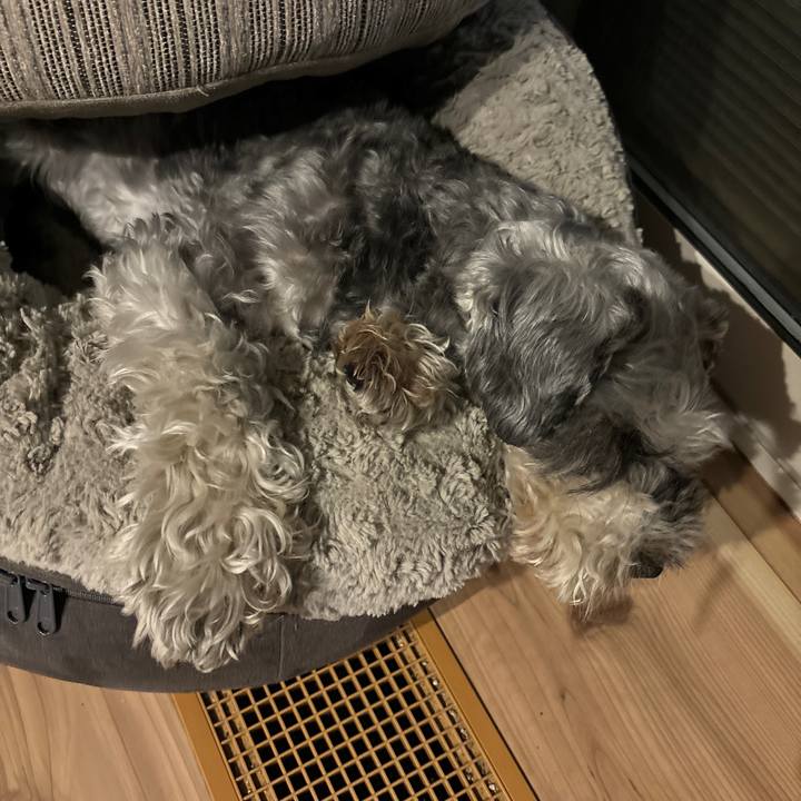 26c076a2 b440 4eb1 a41f 9ffad45901c6 1712929337115