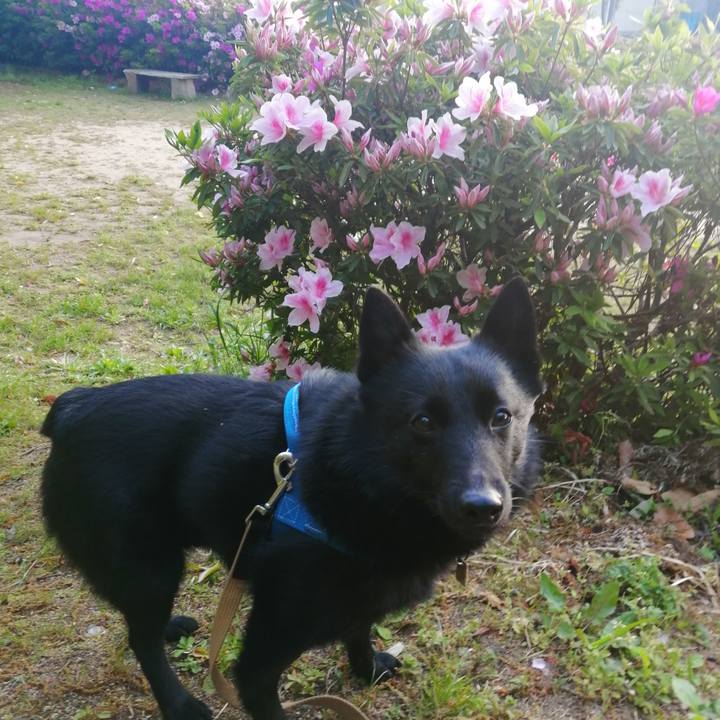 26c0b0d1 80be 43ae 9e86 9a54bb1435d2 1618433778877