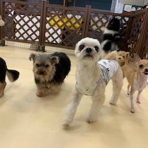 26c10538 83b5 4215 8e83 0ae1481b9c6f 1562666586288