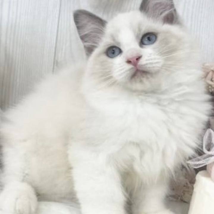 26c1063b 2ab6 4db1 8b89 9ef03e5834cc 1664866072783