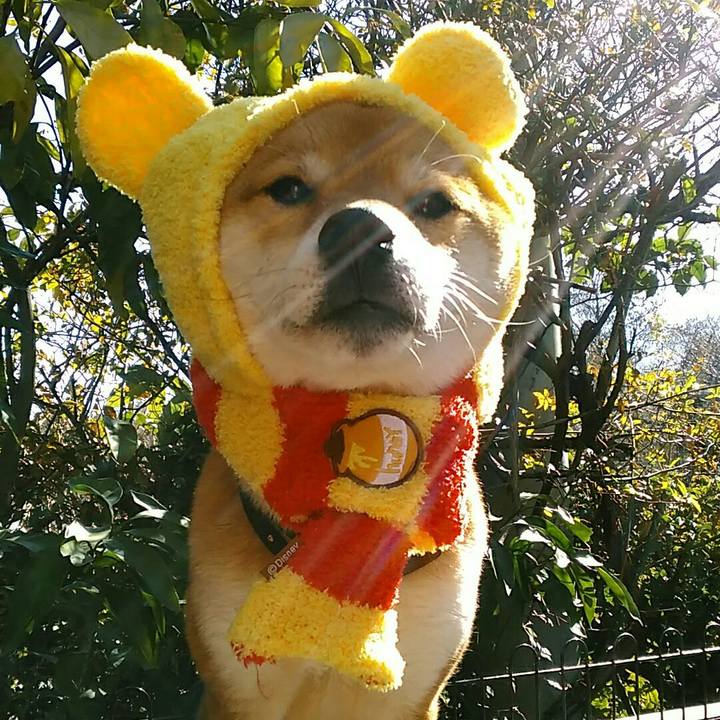 26c128bb 5260 4fd7 bcc0 af6c7a19dd1f 1549935327101